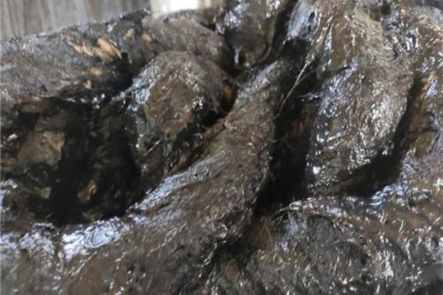 危岩支撑施工的步骤详解  第1张
